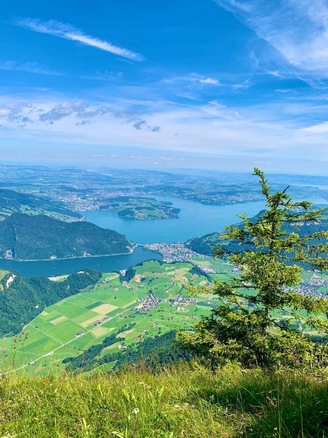 The Swiss Paradise 2 Apartment With Garden, Whirlpool, And Mountain Panorama Wirzweli Exteriör bild