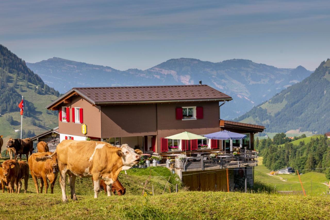The Swiss Paradise 2 Apartment With Garden, Whirlpool, And Mountain Panorama Wirzweli Exteriör bild